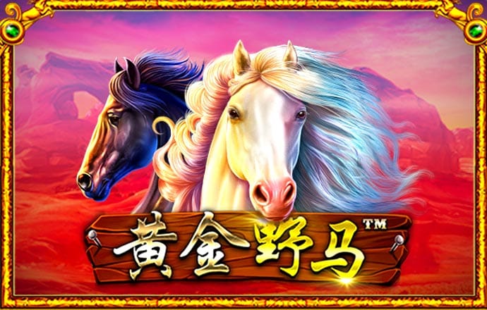 已注册过的千锦娱乐